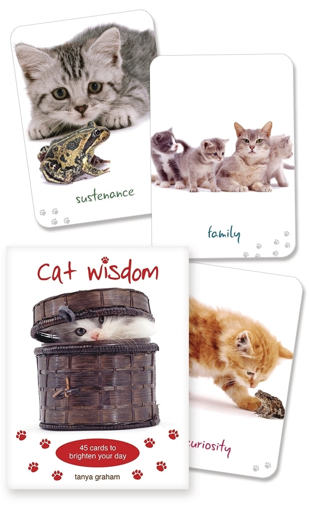 CAT WISDOM CARDS (INGLES)