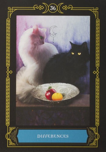 WISDOM OF THE HOUSE OF NIGHT ORACLE CARDS (INGLES)