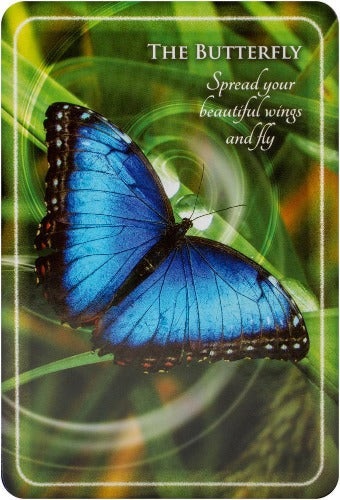ANIMAL WHISPERS EMPOWERMENT CARDS (INGLES)