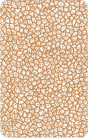 RIDER WAITE PREMIUM (ESPAÑOL)