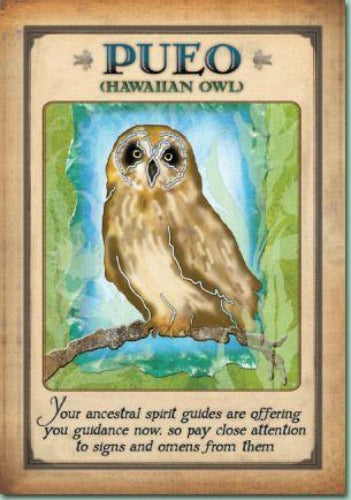 MESSAGES FROM YOUR ANIMAL SPIRIT GUIDES (INGLES)