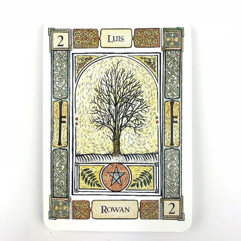 CELTIC TREE ORACLE SET, THE (INGLES)