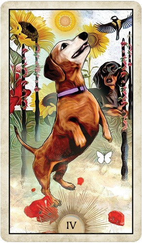 WISE DOG TAROT DECK