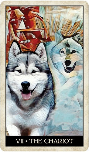 WISE DOG TAROT DECK