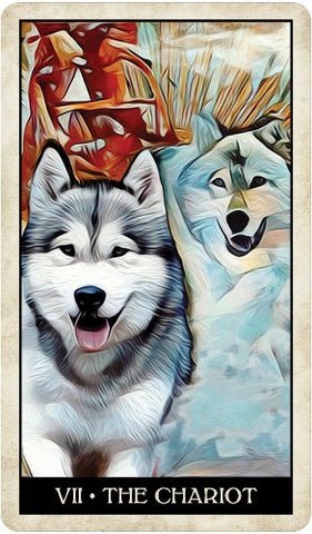 WISE DOG TAROT DECK