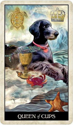 WISE DOG TAROT DECK