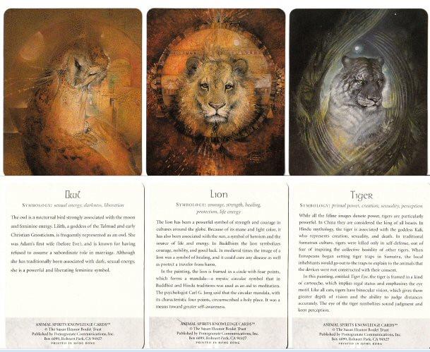 ANIMAL SPIRITS KNOWLEDGE CARDS (INGLES)