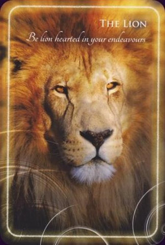 ANIMAL WHISPERS EMPOWERMENT CARDS (INGLES)