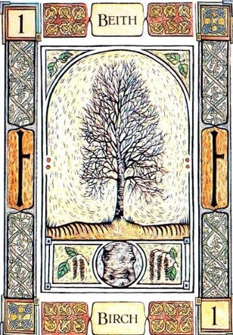 CELTIC TREE ORACLE SET, THE (INGLES)