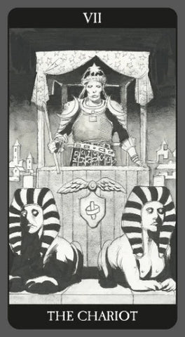 DARK SIDE OF TAROT DECK (ESPAÑOL-MILTU)