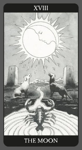 DARK SIDE OF TAROT DECK (ESPAÑOL-MILTU)