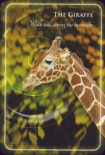 ANIMAL WHISPERS EMPOWERMENT CARDS (INGLES)