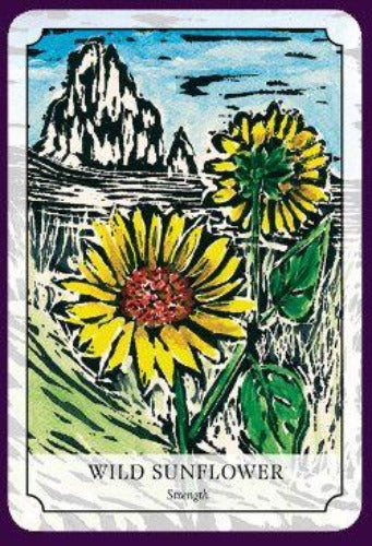 FLOWER READING CARDS (INGLES)