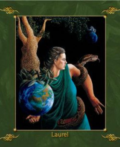GREEN WORLD ORACLE (INGLES)