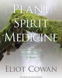 PLANT SPIRIT MEDICINE