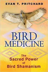 BIRD MEDICINE