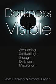 DARKNESS VISIBLE