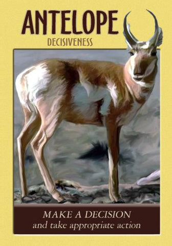 POWER ANIMAL ORACLE CARDS (INGLES)