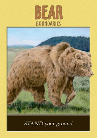 POWER ANIMAL ORACLE CARDS (INGLES)