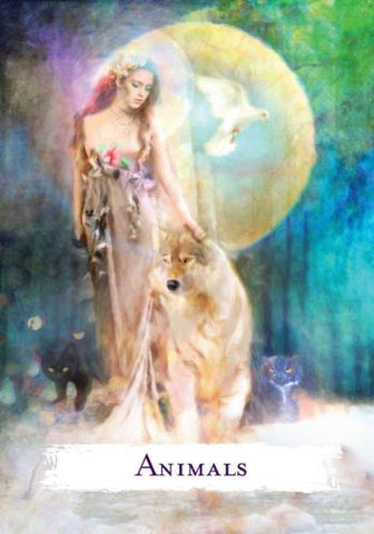 SPELLCASTING ORACLE CARDS (INGLES)