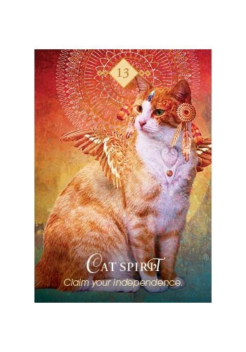SPIRIT ANIMAL ORACLE CARDS SET (INGLES)