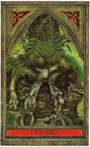 SPIRIT OF NATURE ORACLE SET, THE (INGLES)